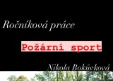 Bokůvková_leták.jpg
