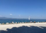 IMG_1604.jpg