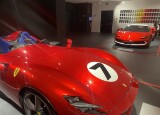 IMG_1441.jpg