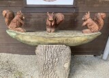 IMG_1919.JPG
