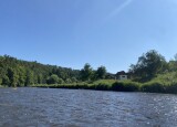 IMG_1996.JPG